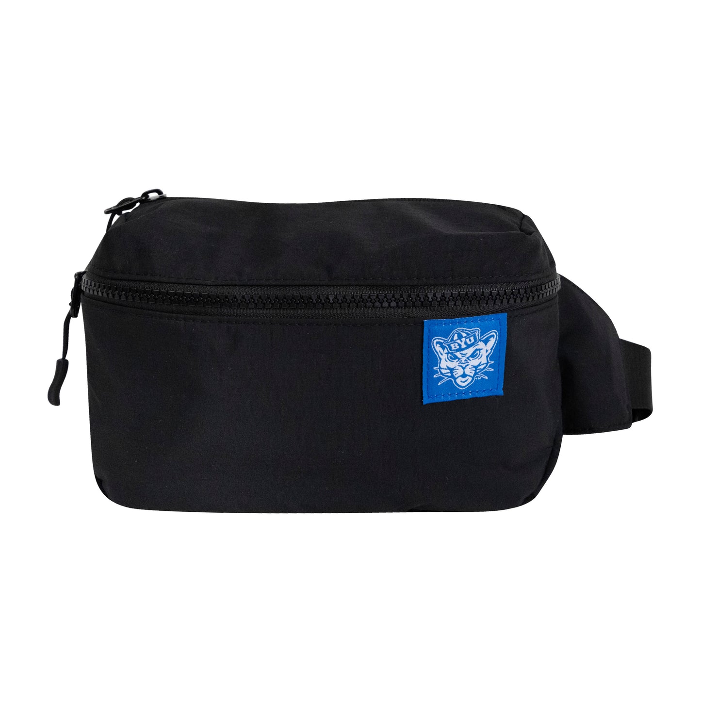 Crossbody Belt Bag
