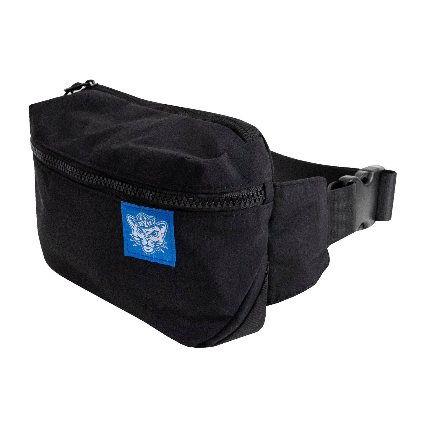 Crossbody Belt Bag